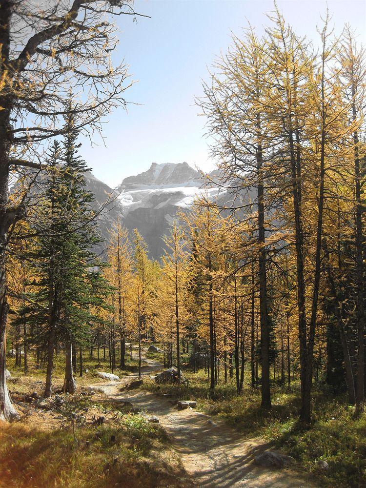 Moraine Lake Lodge Lake Louise Esterno foto